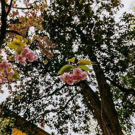 Casa Ambrosini By Wonderful Italy דירה *