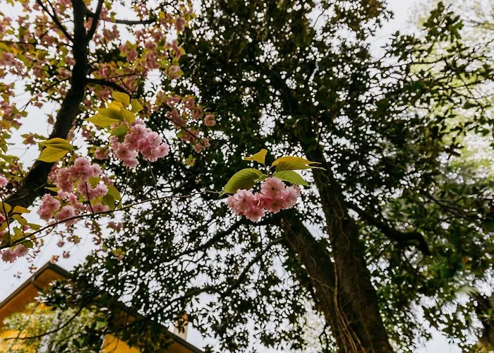 Casa Ambrosini By Wonderful Italy شقة *