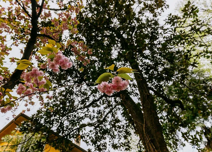 Casa Ambrosini By Wonderful Italy Apartmán *